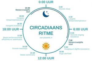 De Biologische Klok / Het Circadiaans Ritme